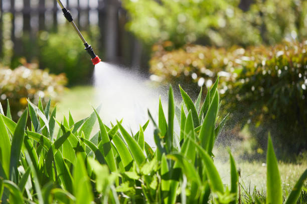 24/7 Emergency Cockroach Control experts in North Shore, VA