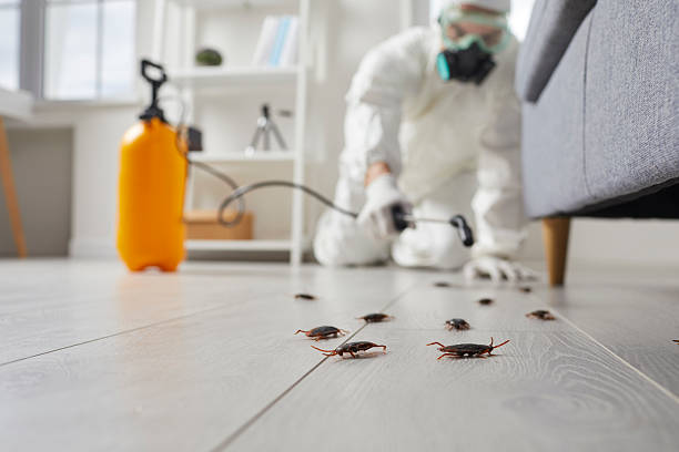 Trusted Emergency Pest Control service in North Shore, VA - Nex Pest Control