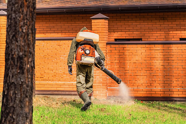 Trusted Ant Control service in North Shore, VA - Nex Pest Control